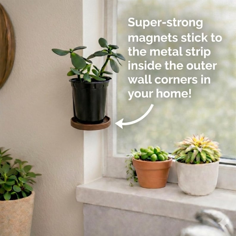 Magnetically mounted corner shelf holding a small potted plant on a wall corner